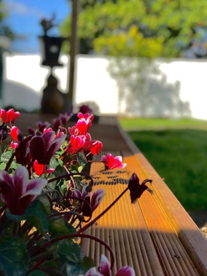 Onehunga Garden Tinyhouse With Parking * Auckland