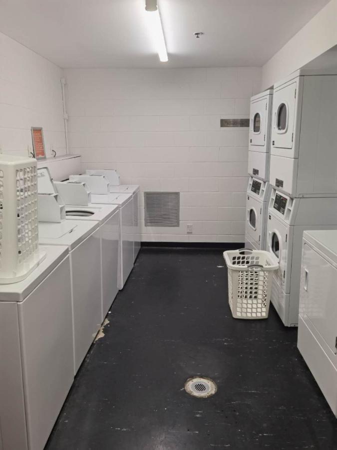 Anzac Tidy Auckland