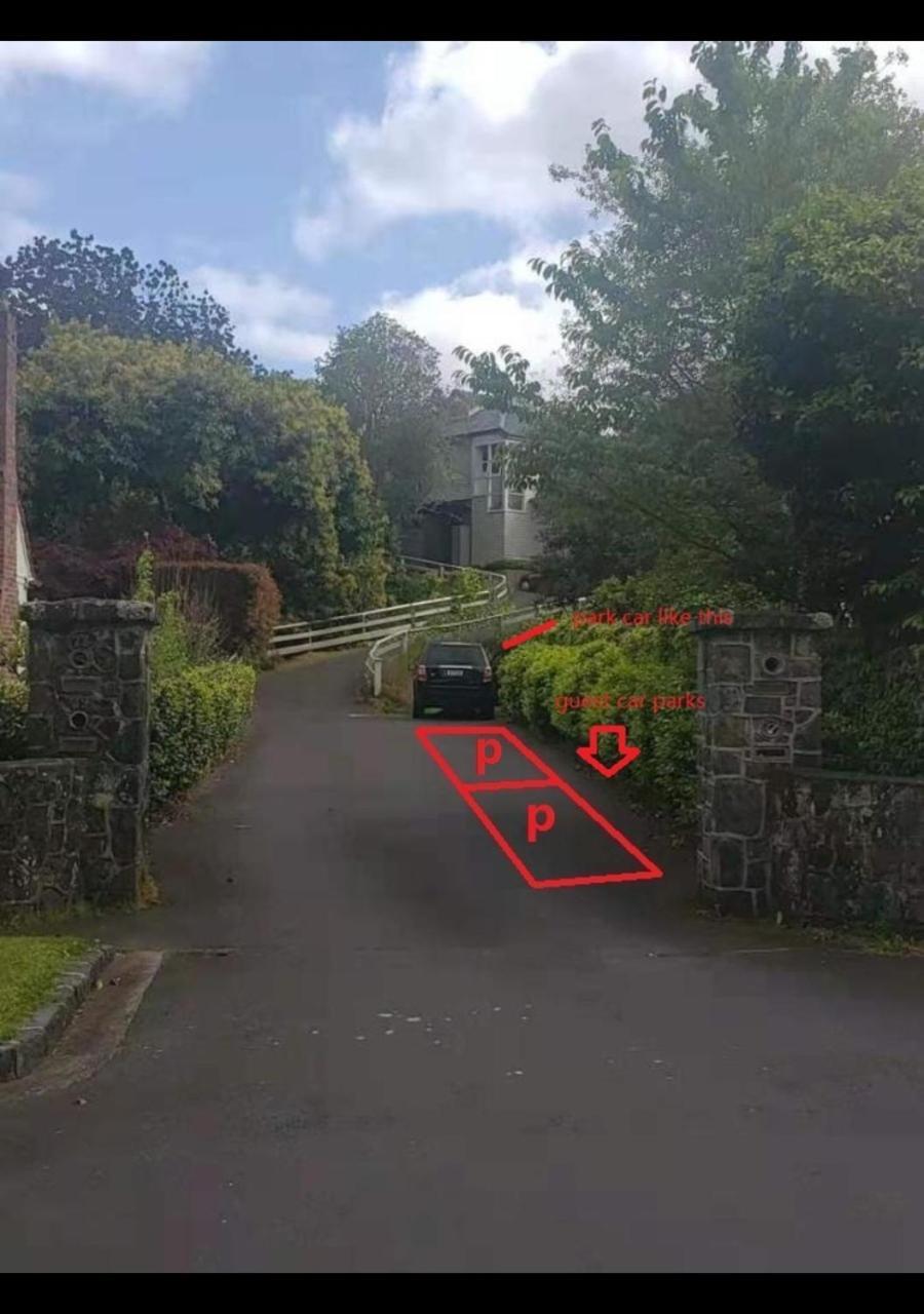 1 Queen Bed And 1 Sofa Bed, B, 25 Glenfell Place, Epsom, Guest house Auckland