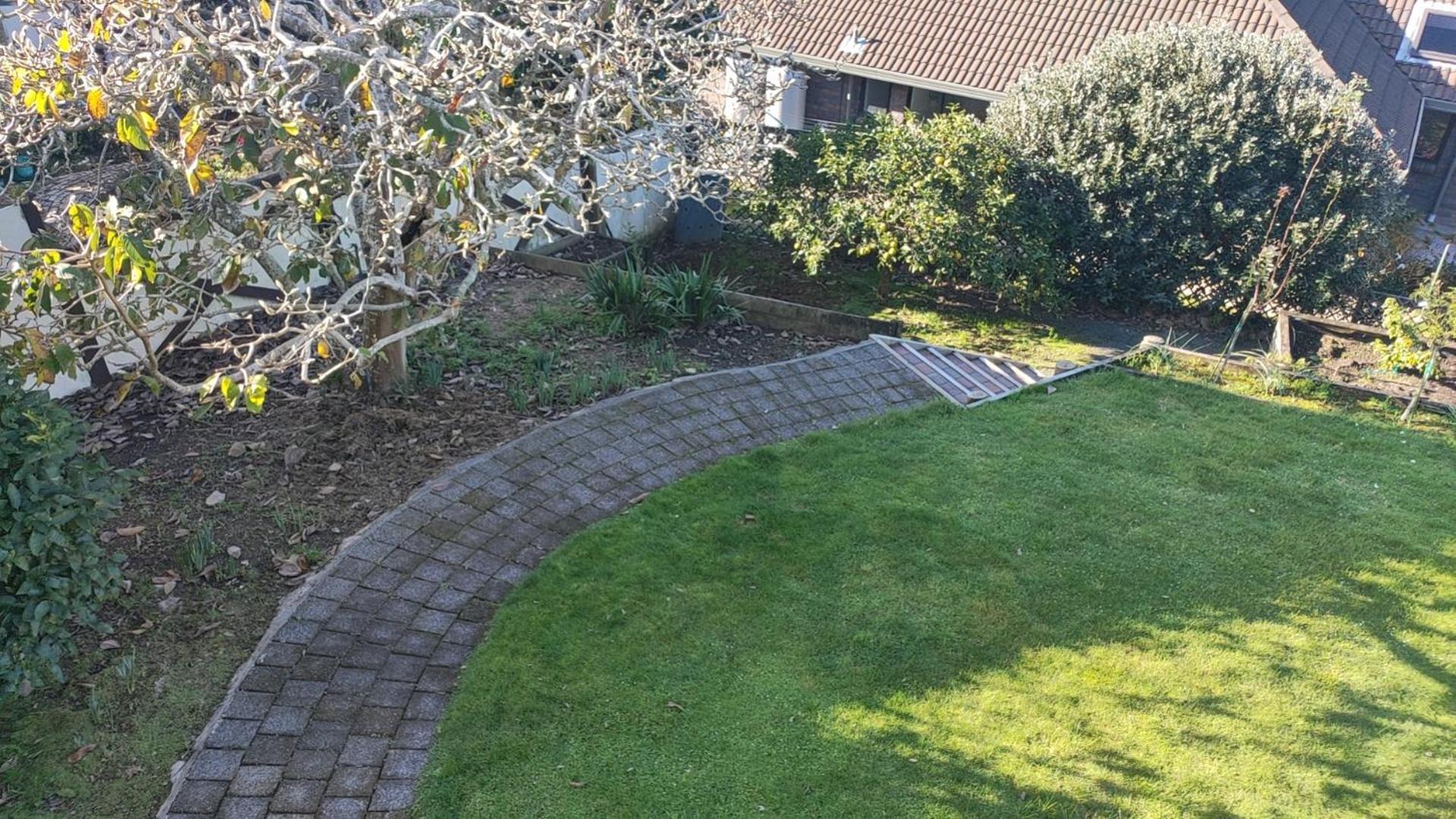Perfect Living In Eastern Hospedagem domiciliar Auckland