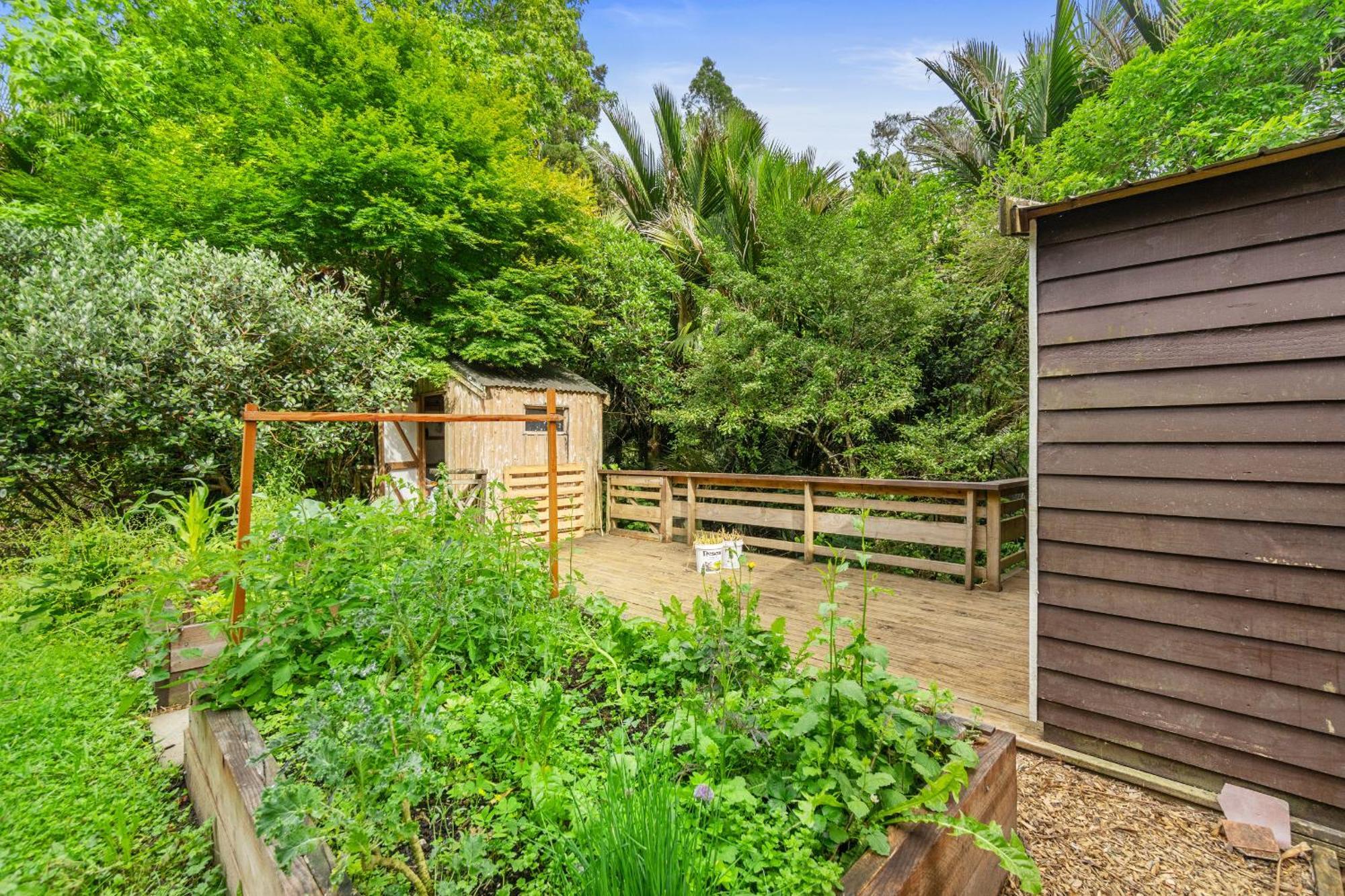 Treetop Sanctuary - Titirangi Auckland