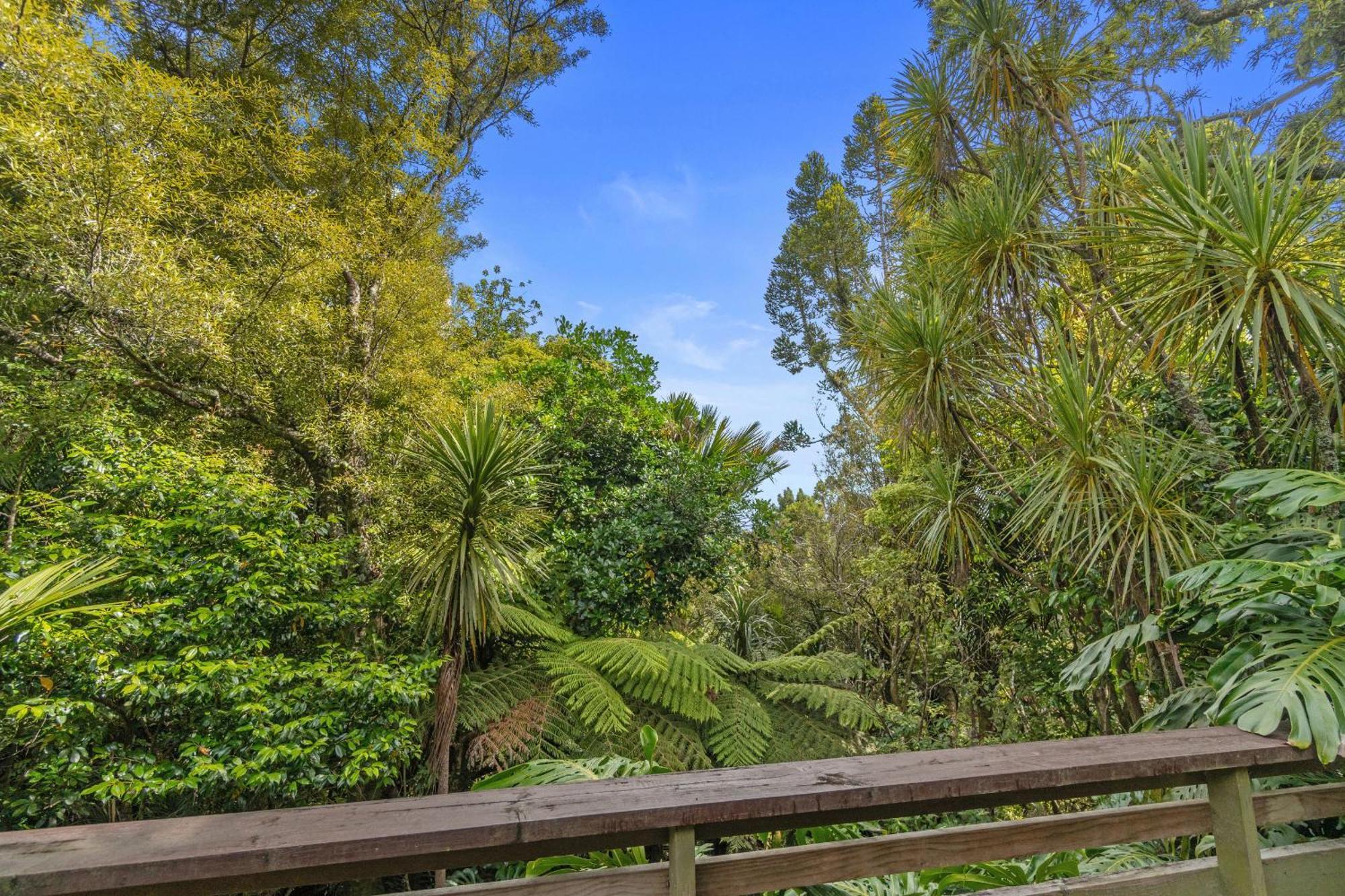 Treetop Sanctuary - Titirangi Holiday home