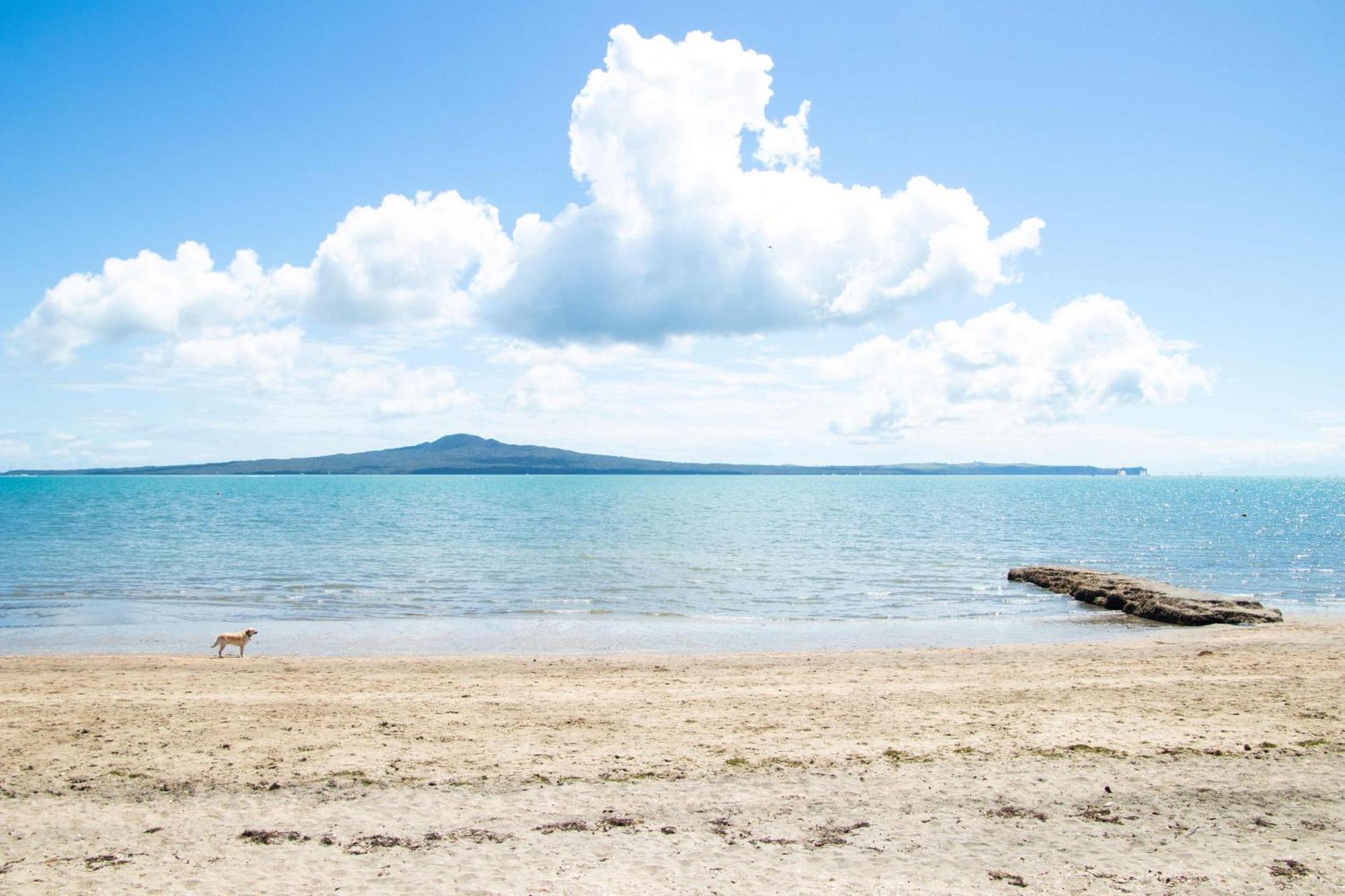 Aarangi 3*