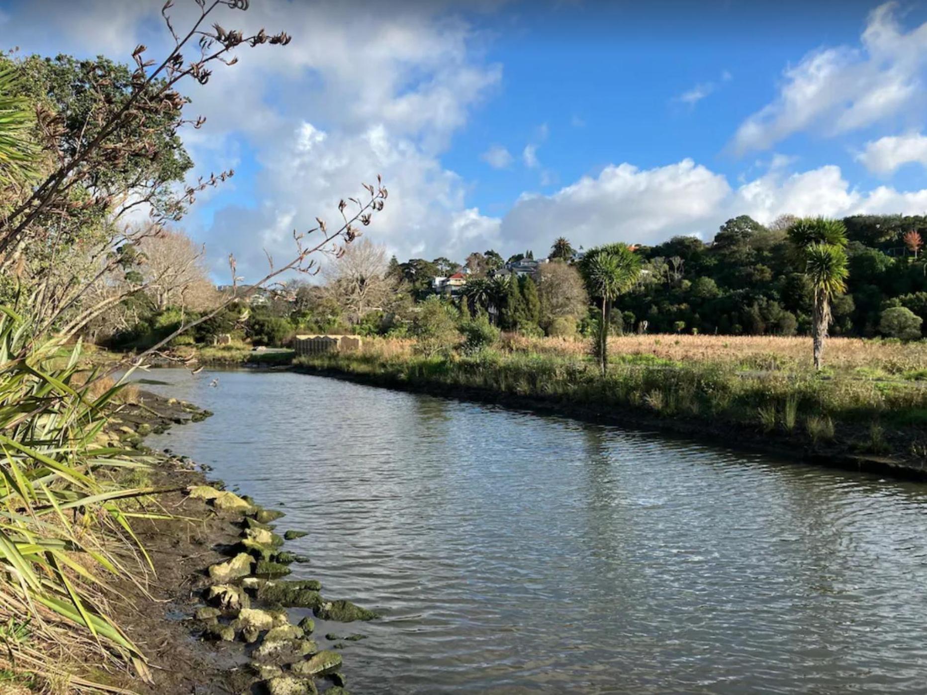 Holiday home Remuera Spacious *