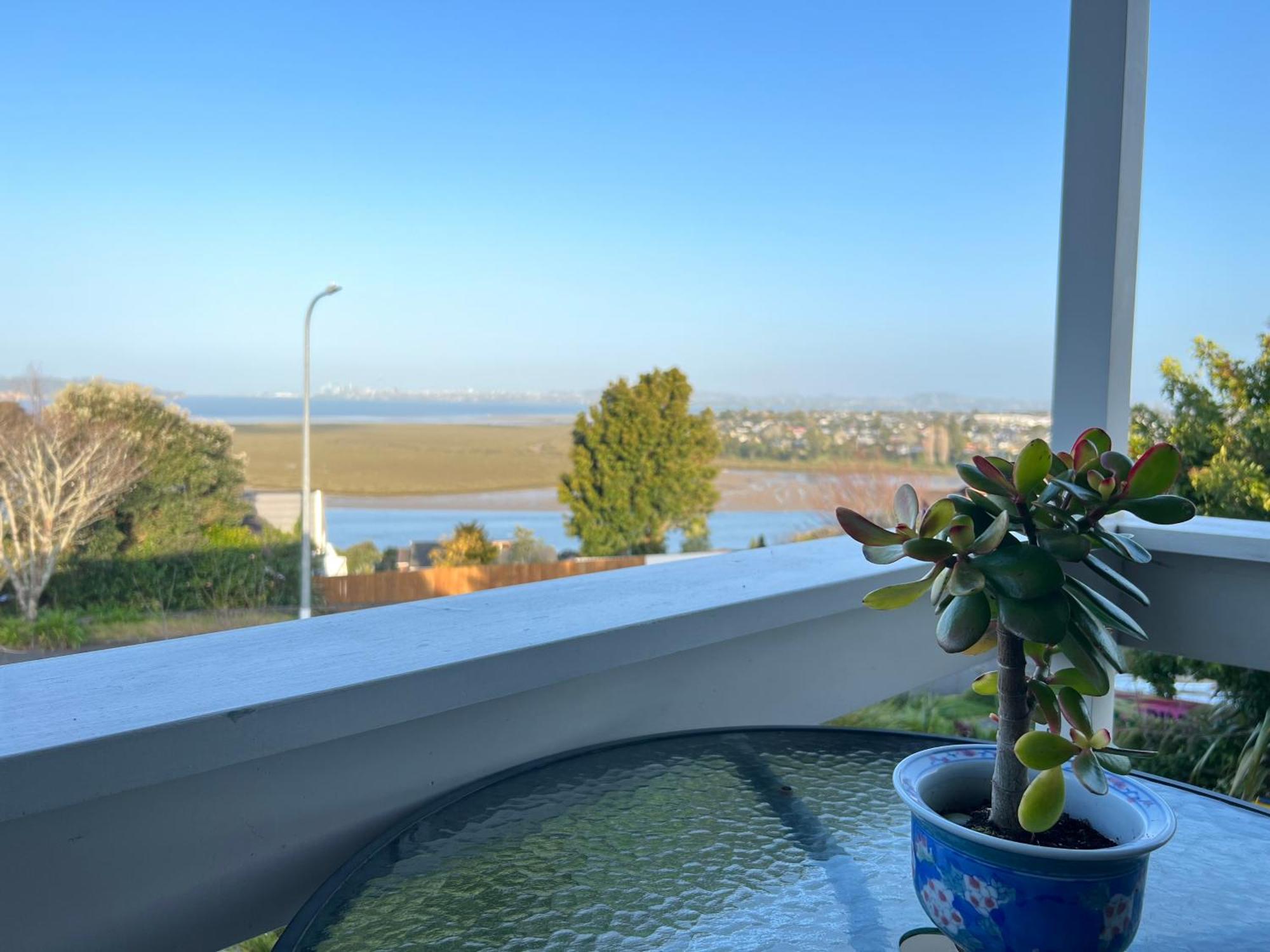 Sea&skytower View With Free Netflix, Parking Homestay Auckland