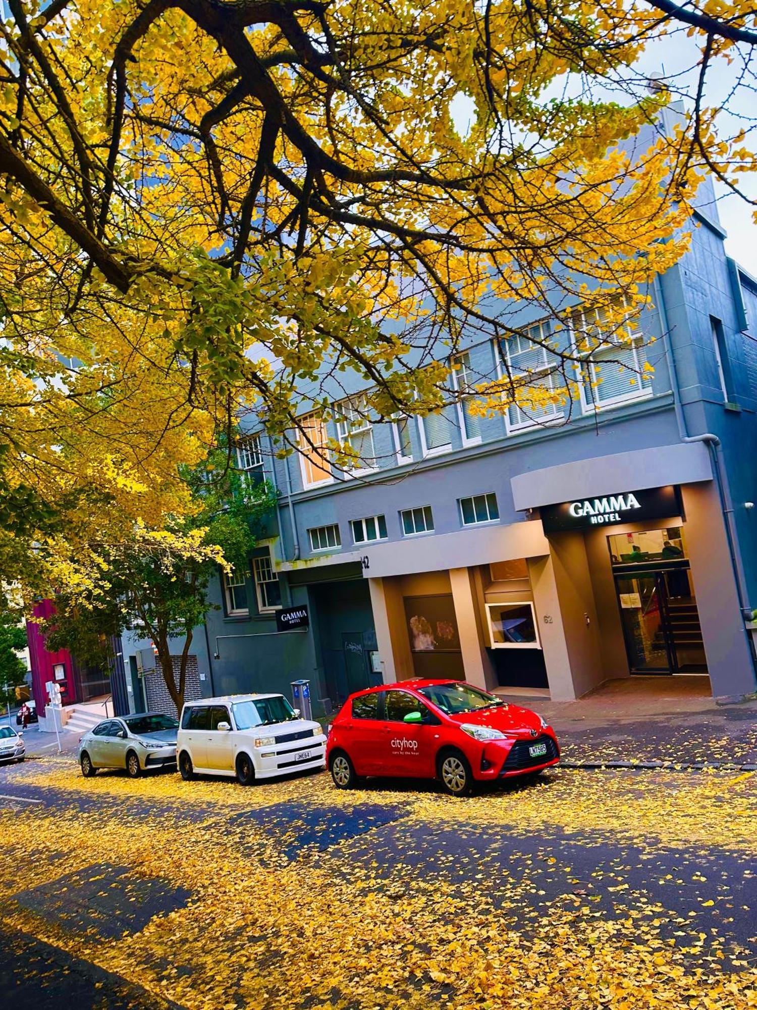 Gamma Hotel Auckland