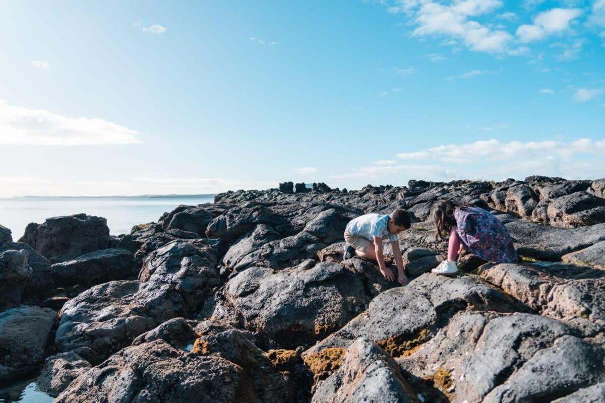 Holiday home Takapuna Beachfront W Stunning Views Auckland