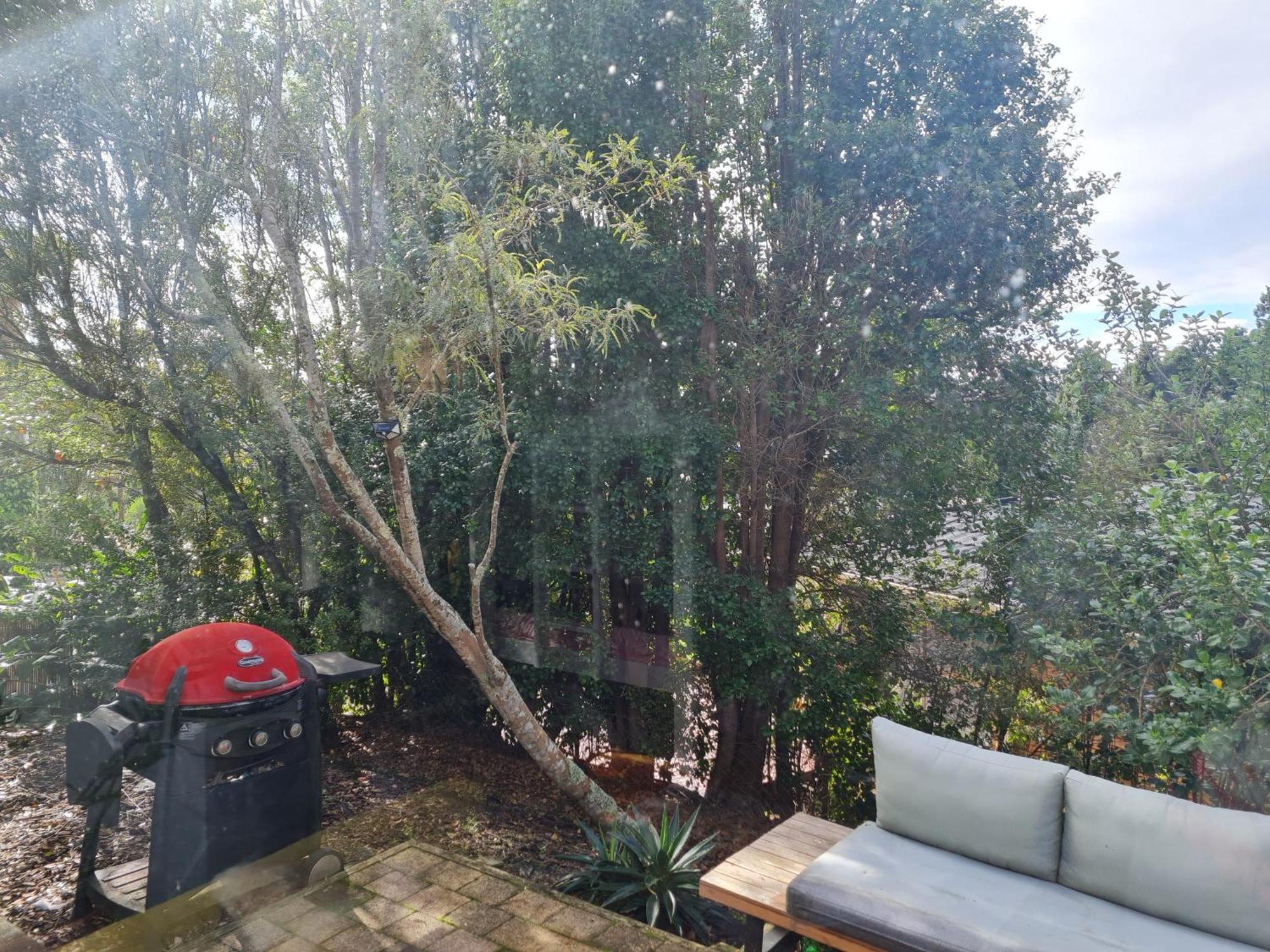 Paris Guest house Auckland