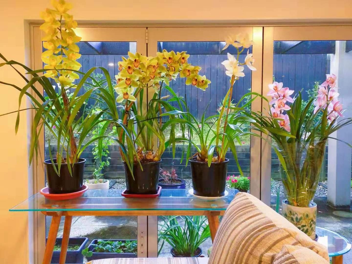 Bed & Breakfast Stay Auckland Auckland