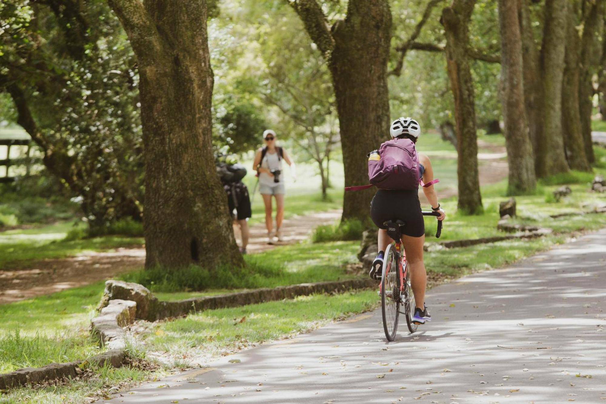 Wheturangi Urban Escape Auckland