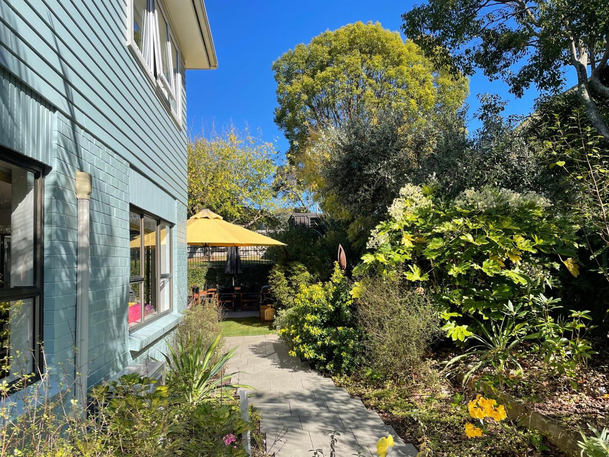 Wing In Saint Heliers * Auckland