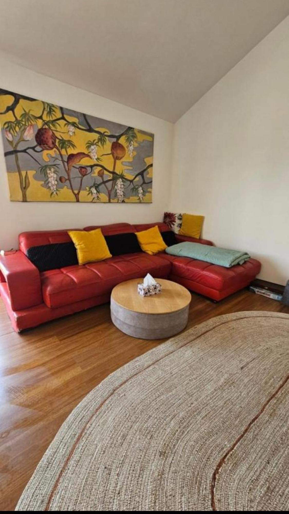 Rare Gem In Westgate * Auckland