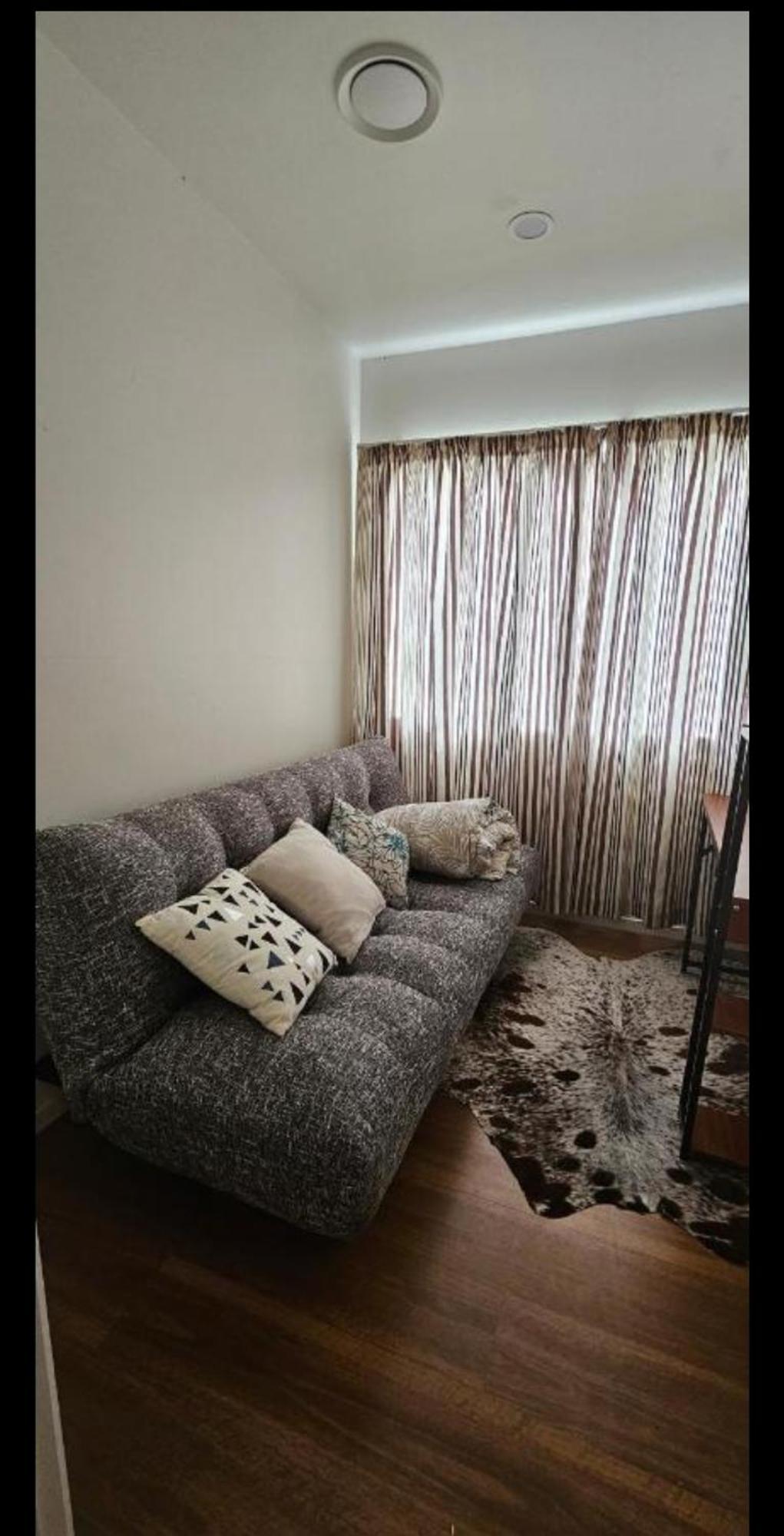 Rare Gem In Westgate Auckland