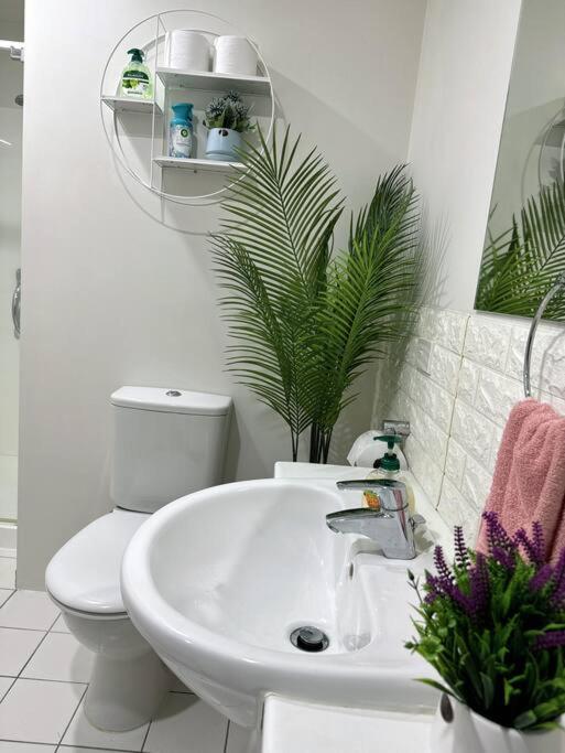 Apartment Immaculate 3 Bd 2 Bth -free Carpark & Pool Auckland