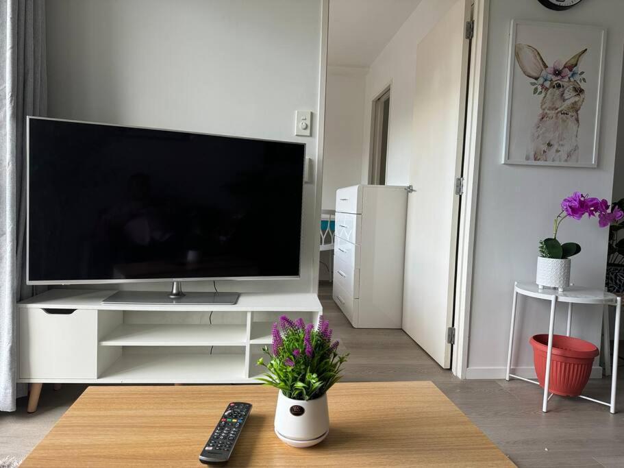 Immaculate 3 Bd 2 Bth -free Carpark & Pool * Auckland