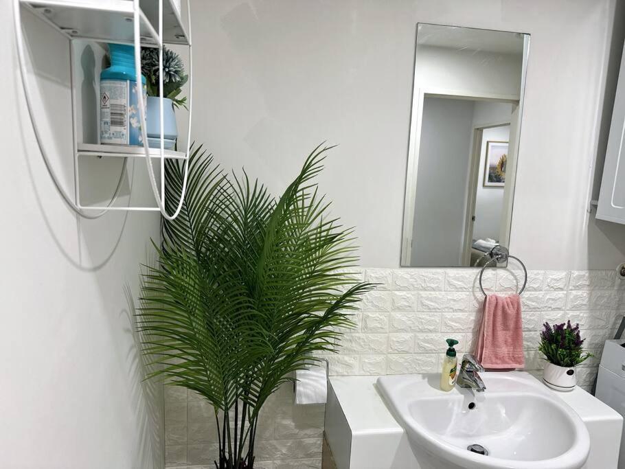 Apartment Immaculate 3 Bd 2 Bth -free Carpark & Pool Auckland