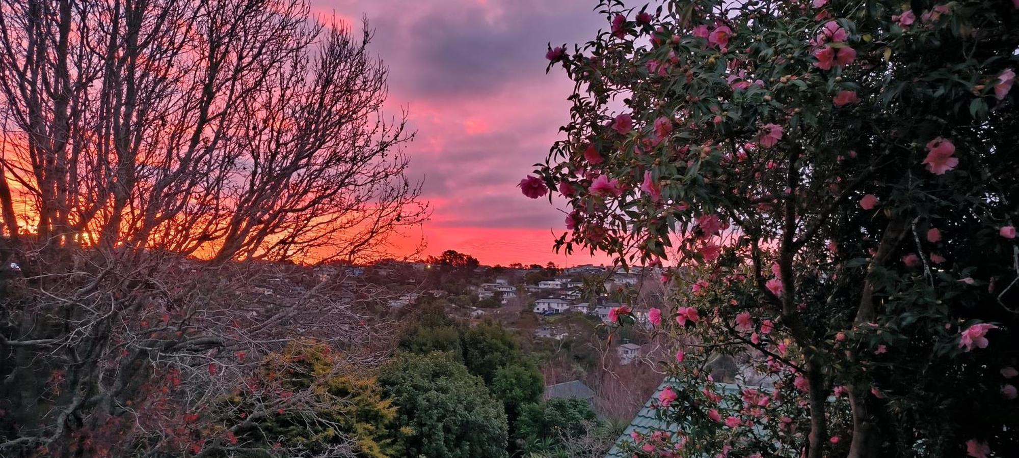 Birdsong Hideaway Two-bedroom In Browns Bay * Auckland