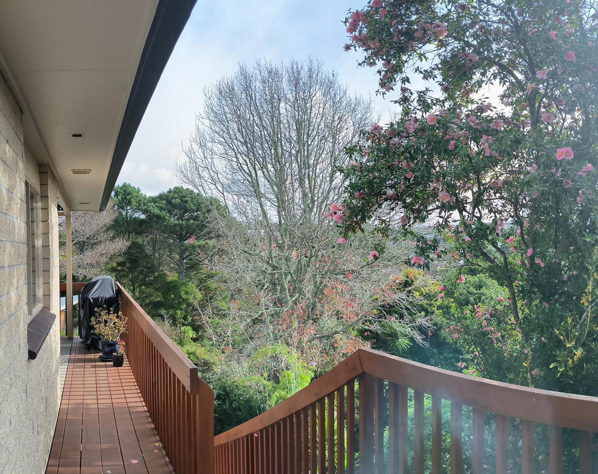 Birdsong Hideaway Two-bedroom In Browns Bay Homestay Auckland