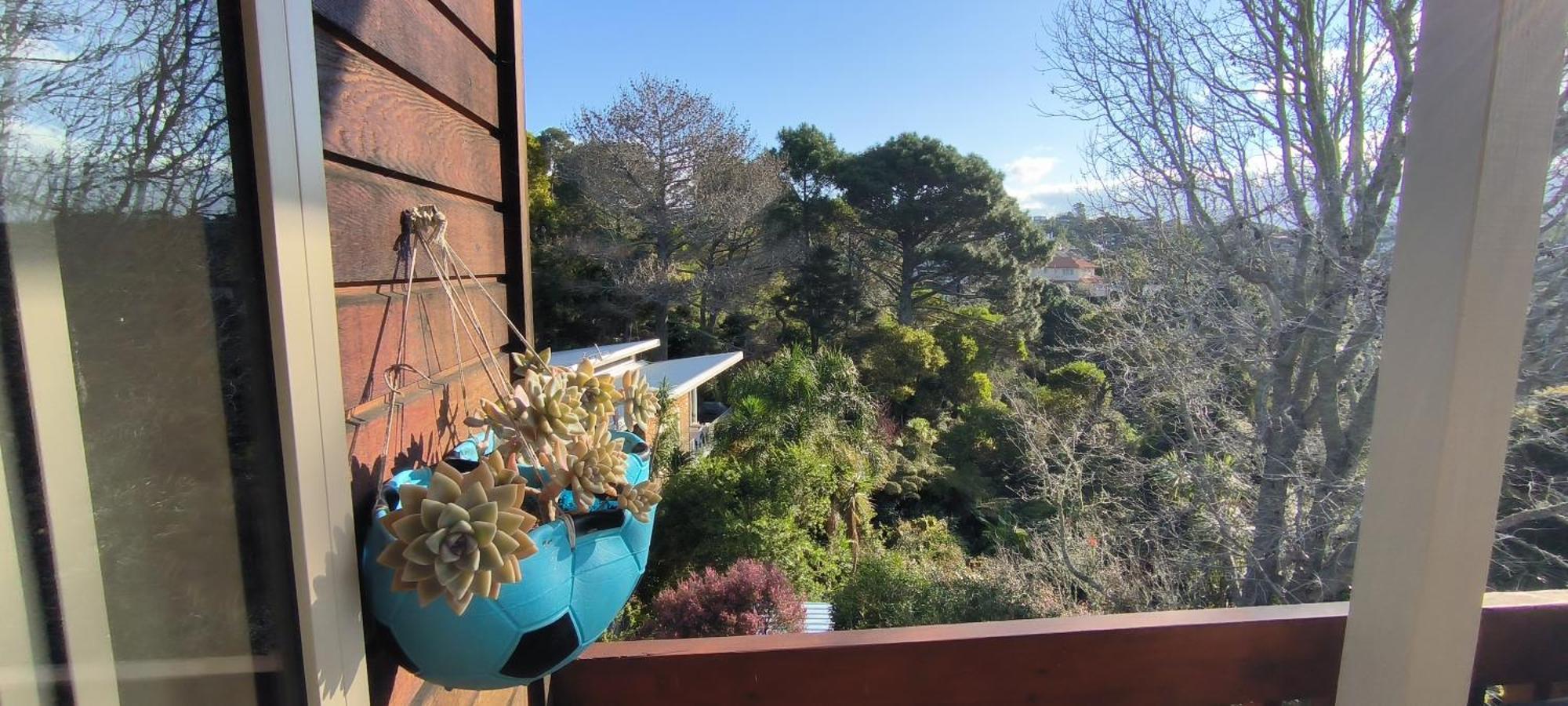 Birdsong Hideaway Two-bedroom In Browns Bay Homestay *