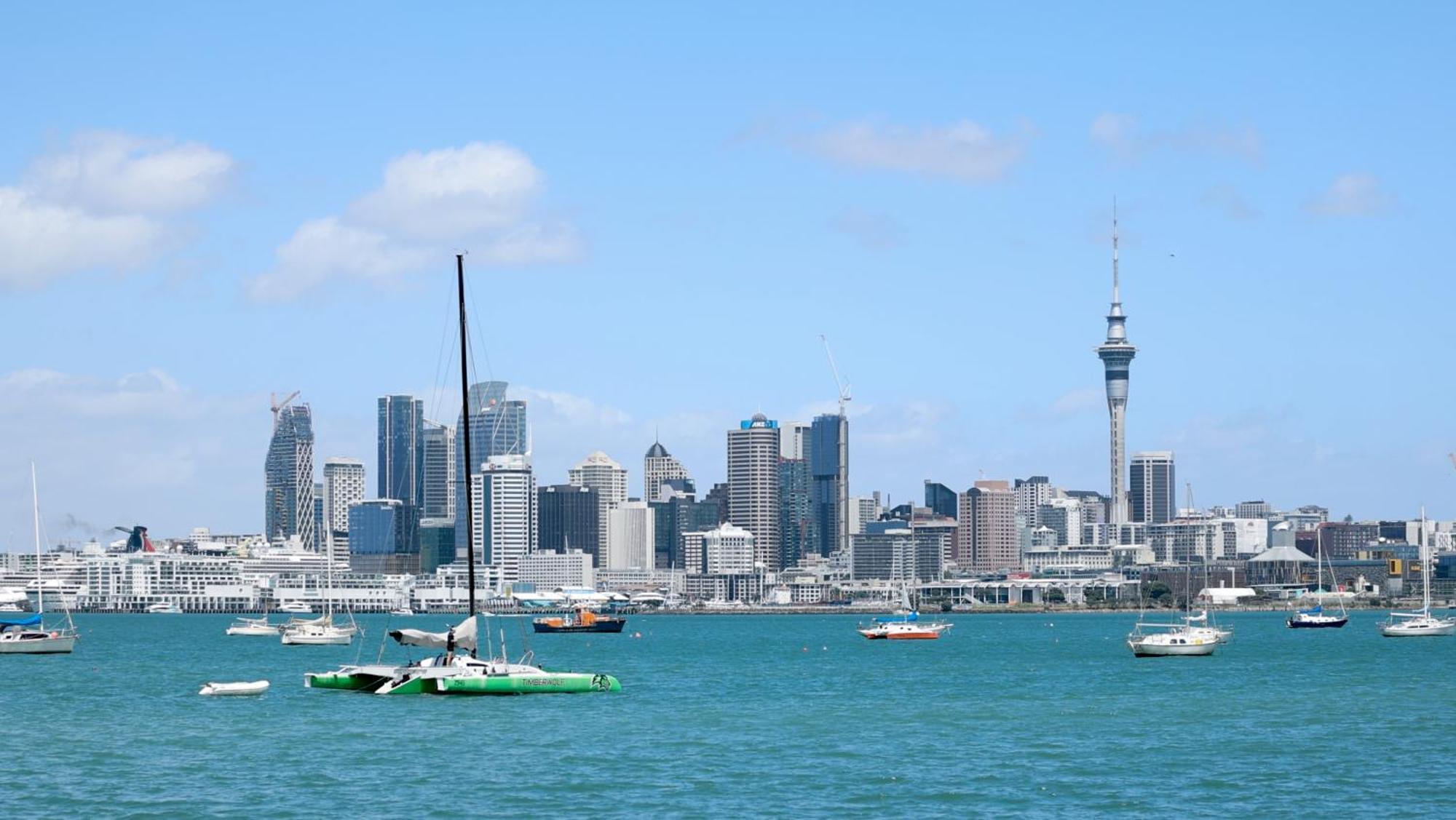 Tuis Nest Nz *