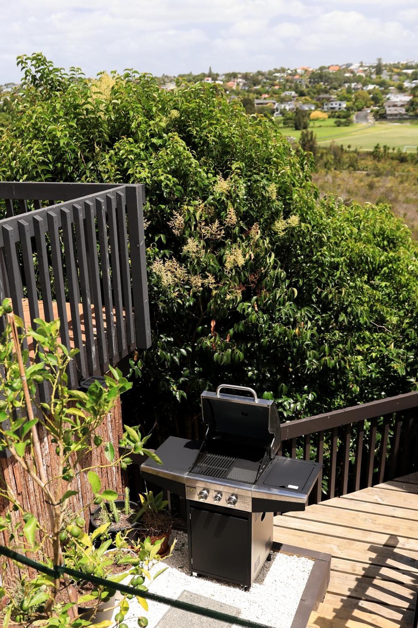 Tuis Nest Nz *