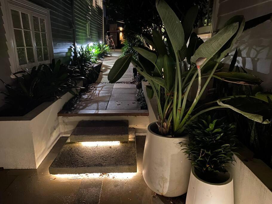 Hidden Sanctuary In Grey Lynn Apartment