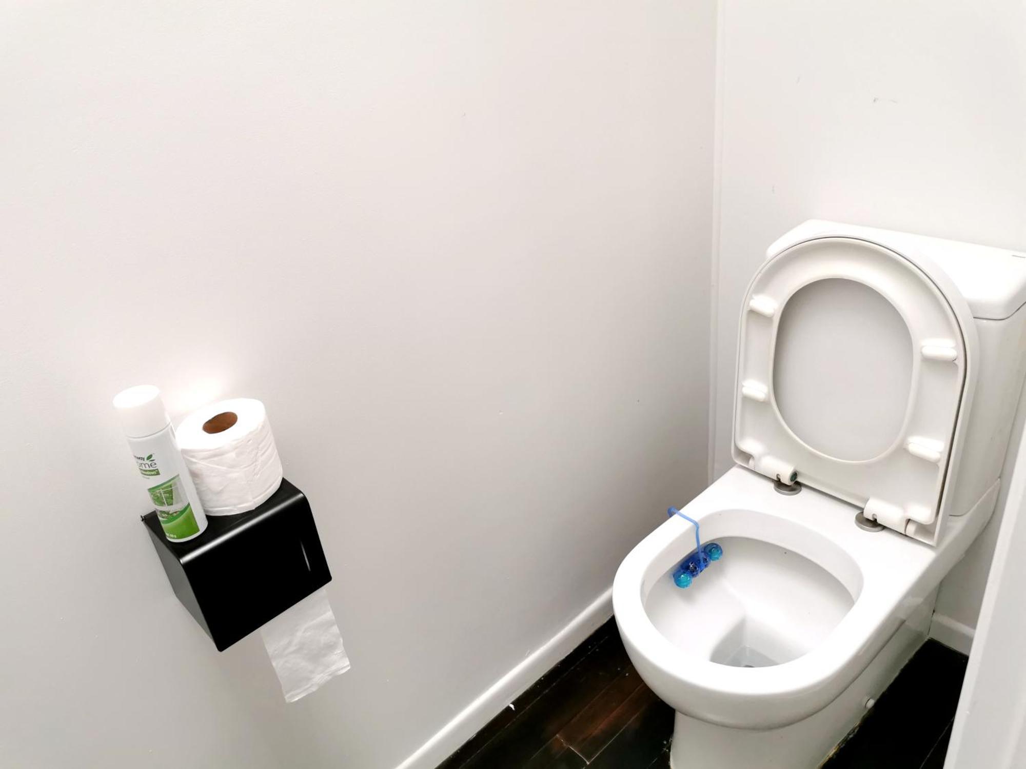 Separate Entry Guest With Private Bathroom In Forrest Hill *