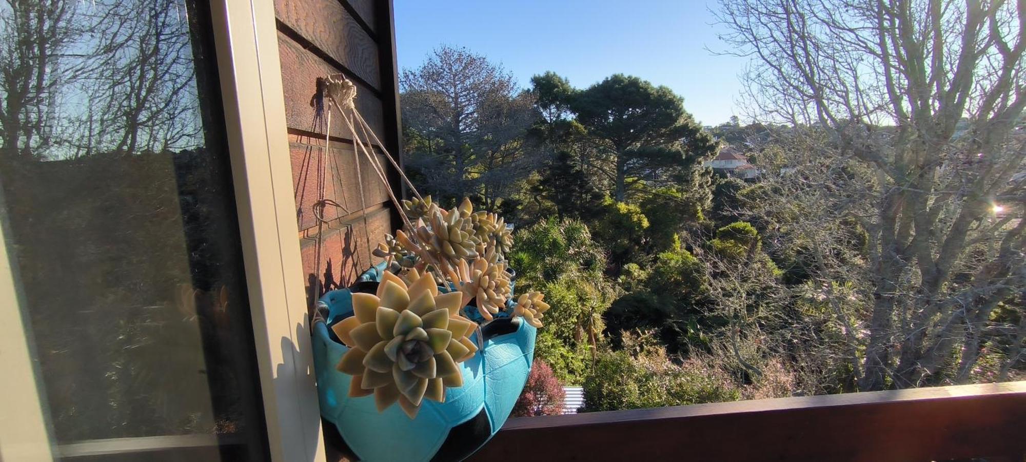 Birdsong Hideaway Two-bedroom In Browns Bay * Auckland