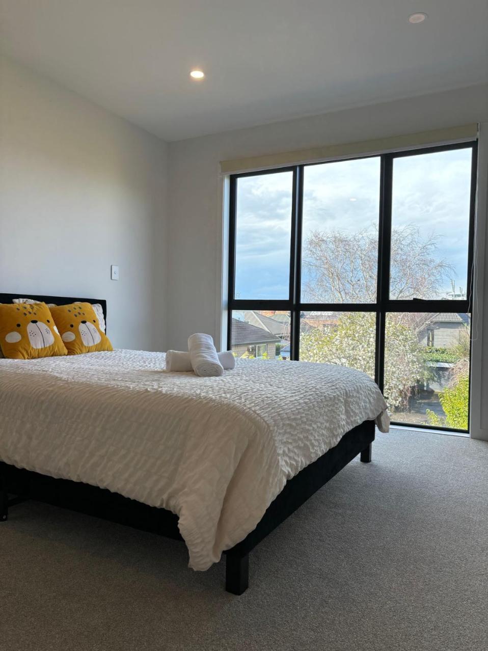 Epsom Tidy House 8 Auckland