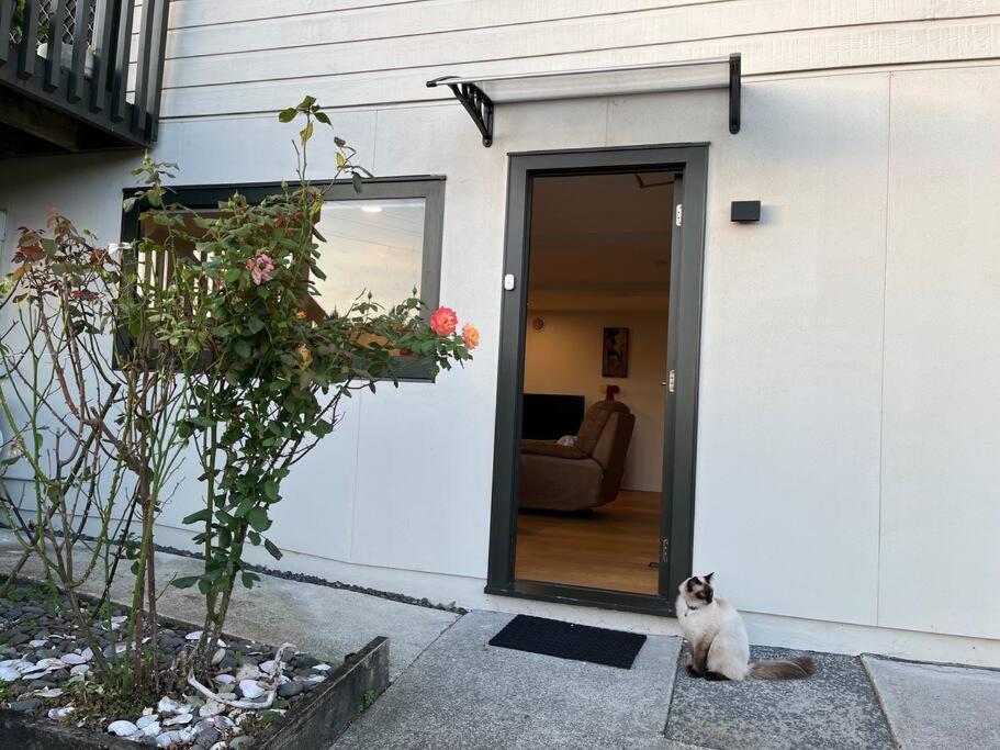 Peaceful And Convenient Apartment