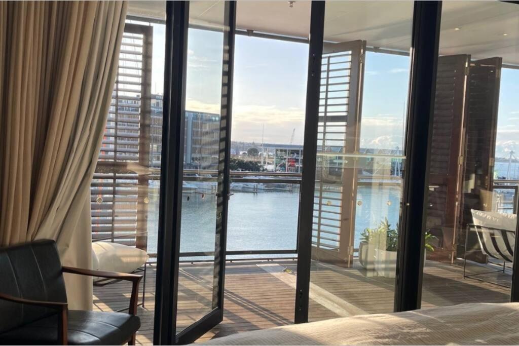 Shearwater * Auckland