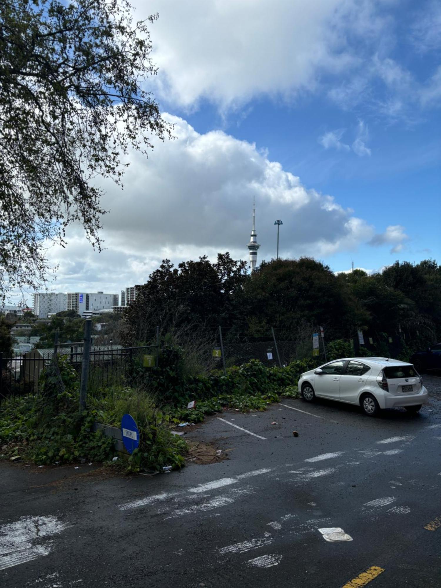 Designer Ponsonby And K Road One Bedroom With Carpark *