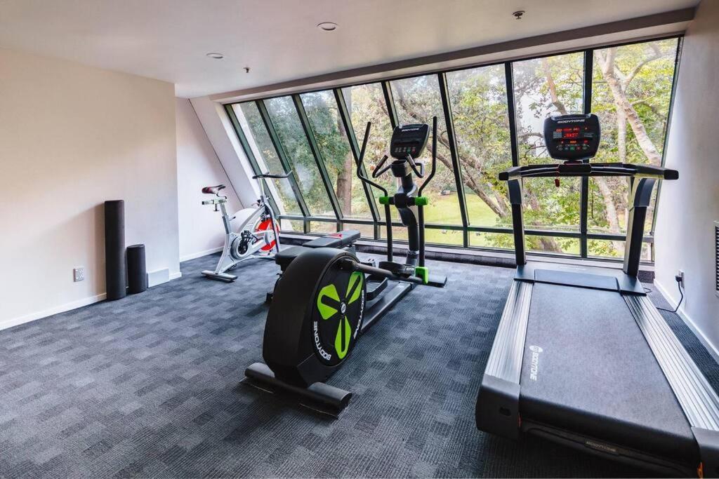 Spacious Park Views With Spa, Pool, Gym, Netflix * Auckland