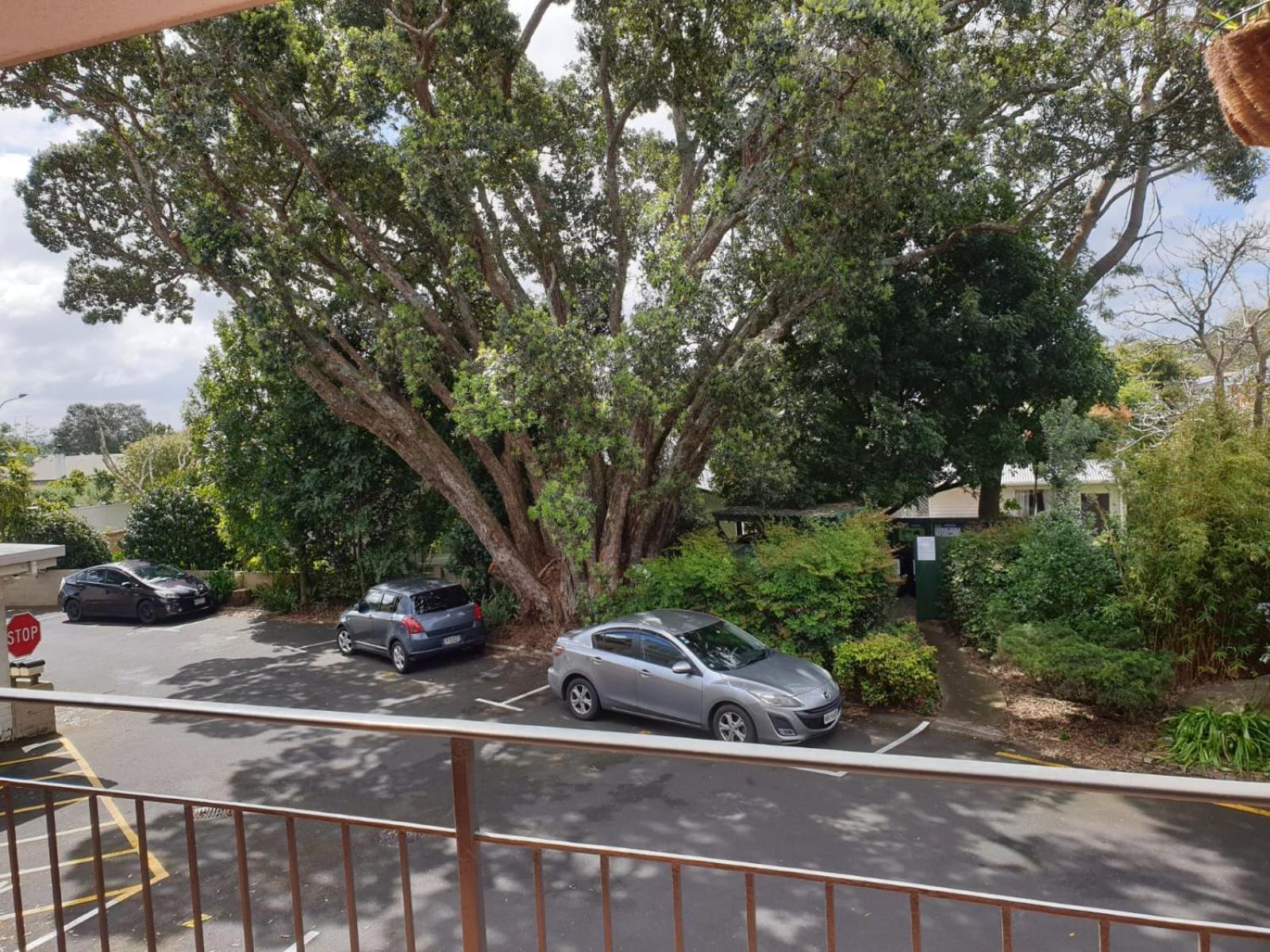 Cute Comfortable, Quiet 11 With Carpark Apartment
