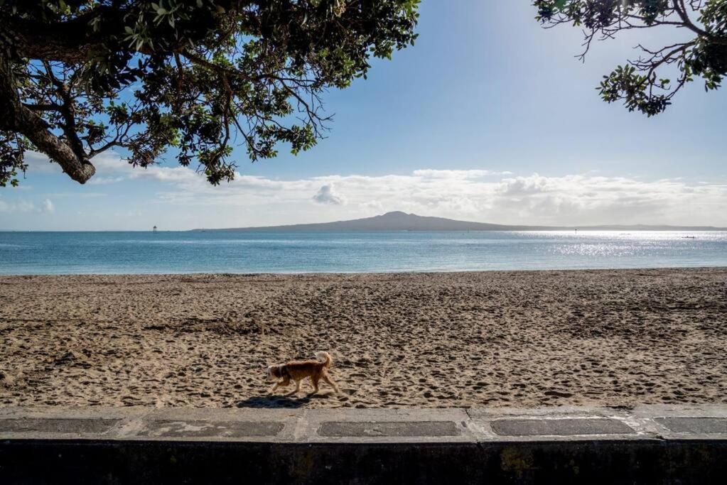 Mission Bay *