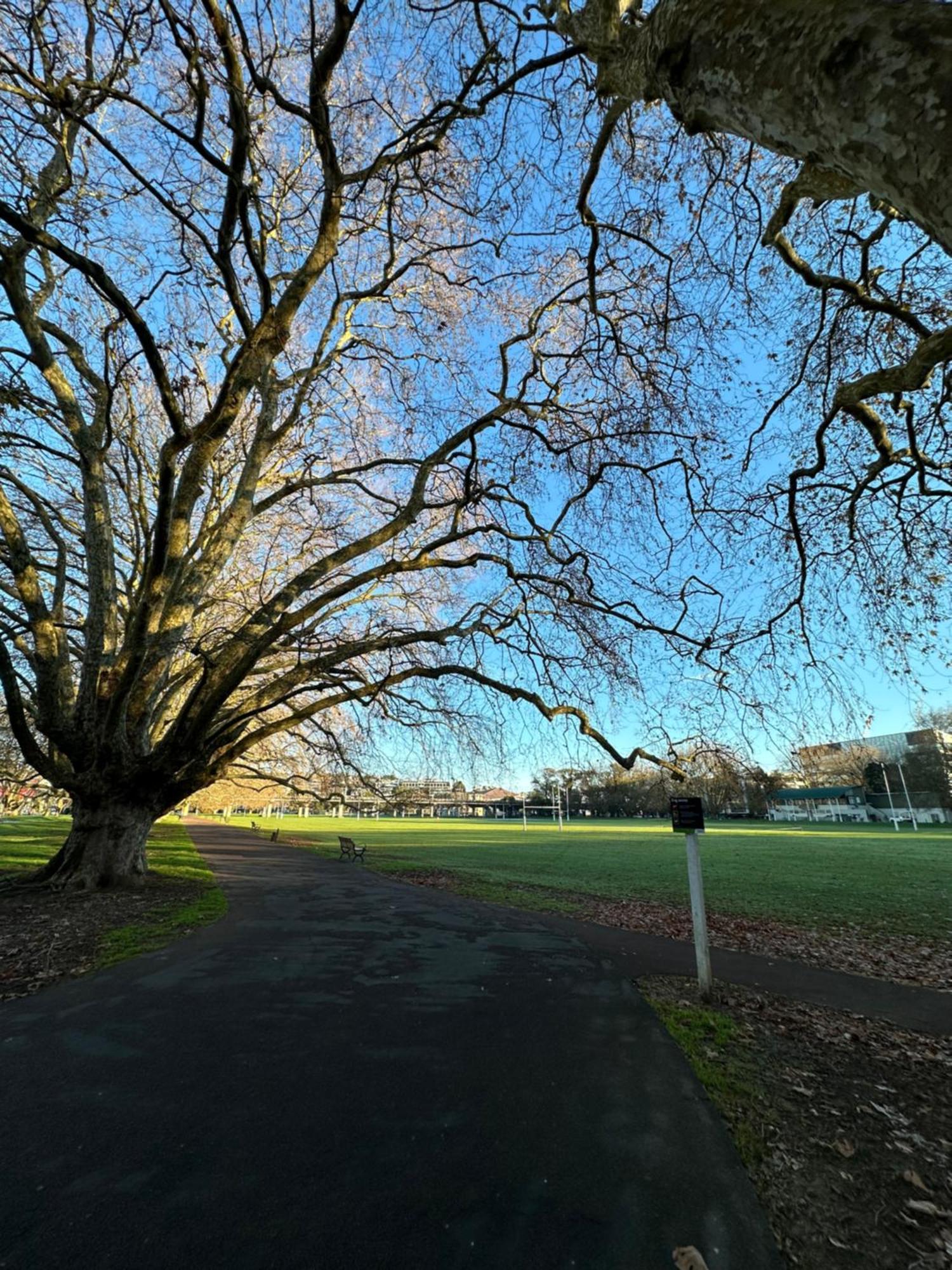 Modern & Sun Soaked * Auckland