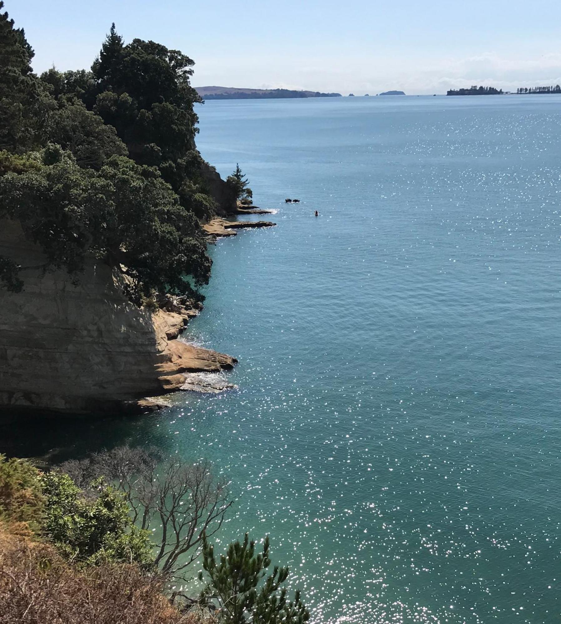 Sea-batical Retreat Apartment Auckland
