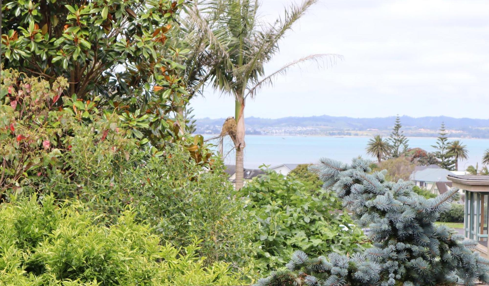 Sea-batical Retreat Auckland