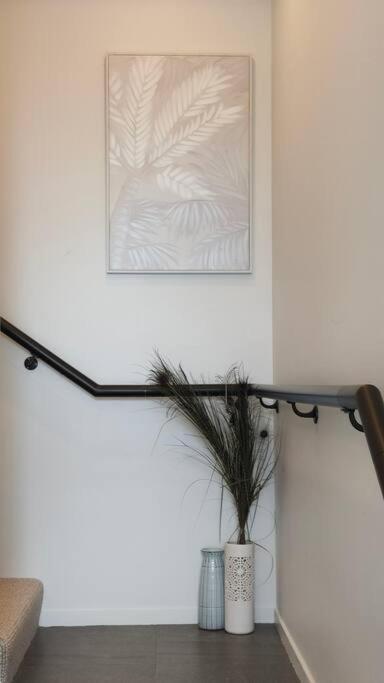 1 Bed 1 Sofa Bed Family In Grey Lynn Auckland