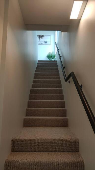 1 Bed 1 Sofa Bed Family In Grey Lynn * Auckland