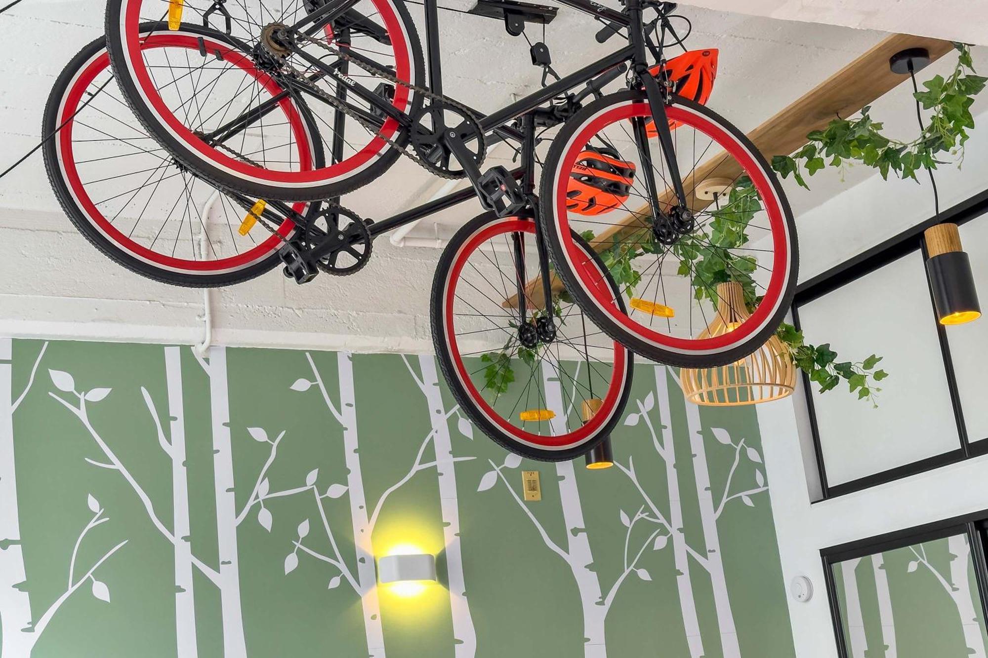 Loft W Bikes Wifi Cbd Apartment