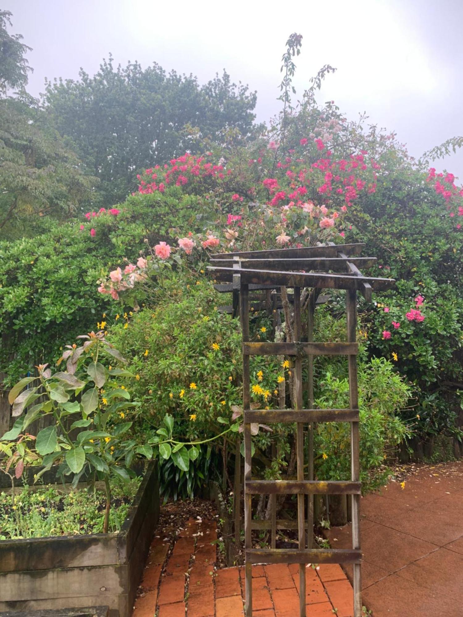 Acomodação com café da manhã  Double *