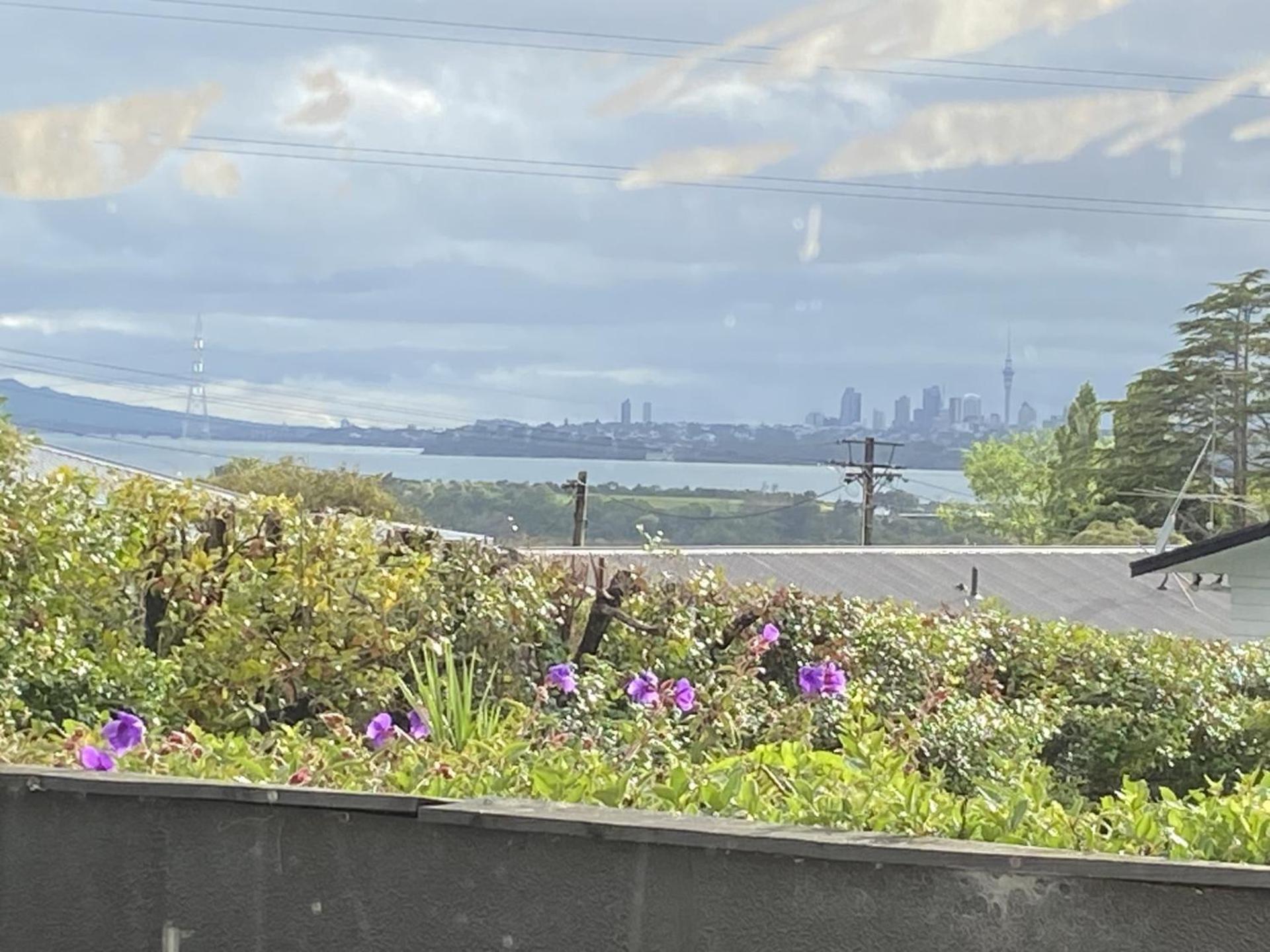 Close Motorway,free Breakfast,lovely Hot Spa,private, * Auckland