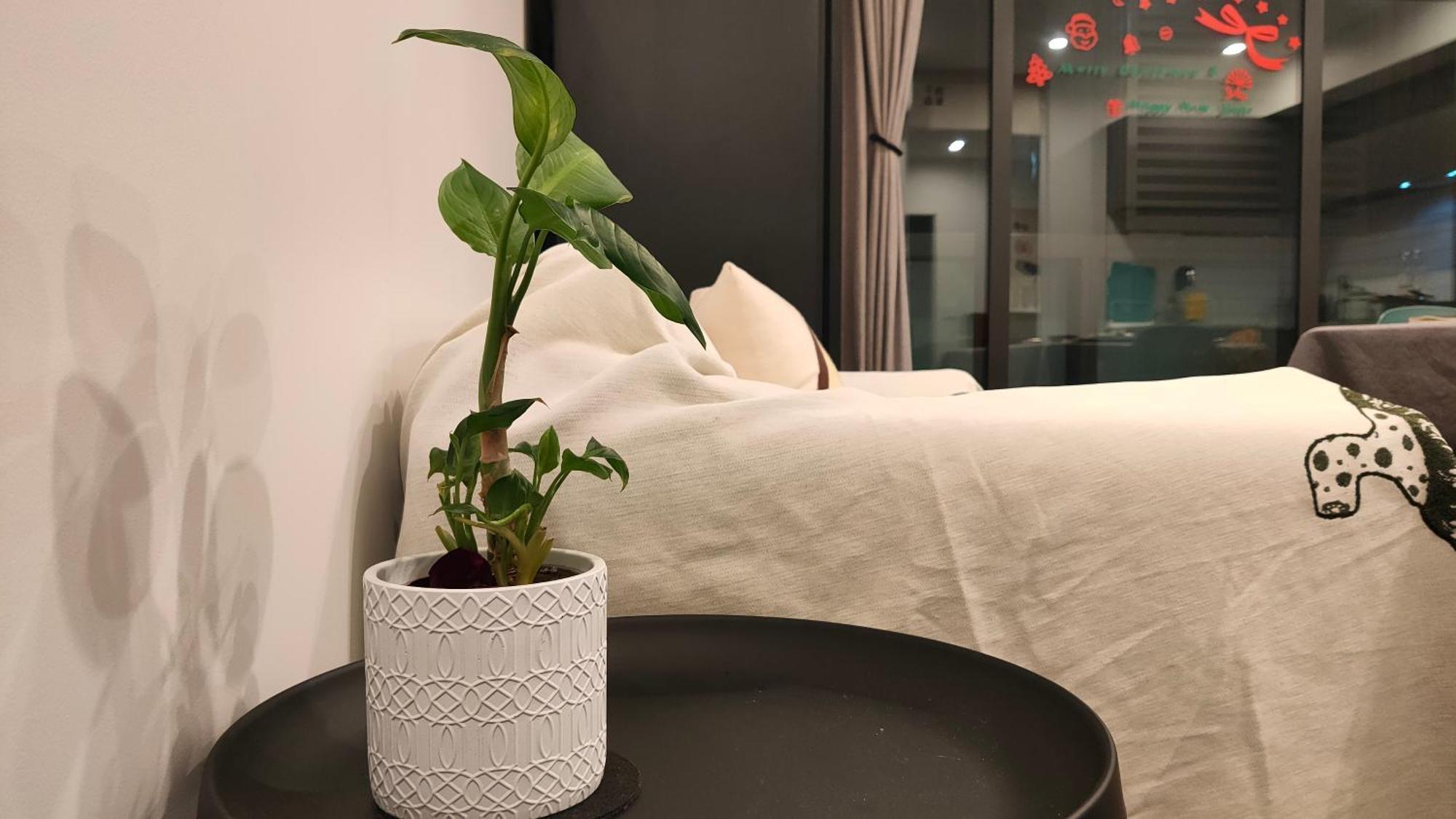 Apartment Stylish And Unique At The Heart Of Newmarket Auckland