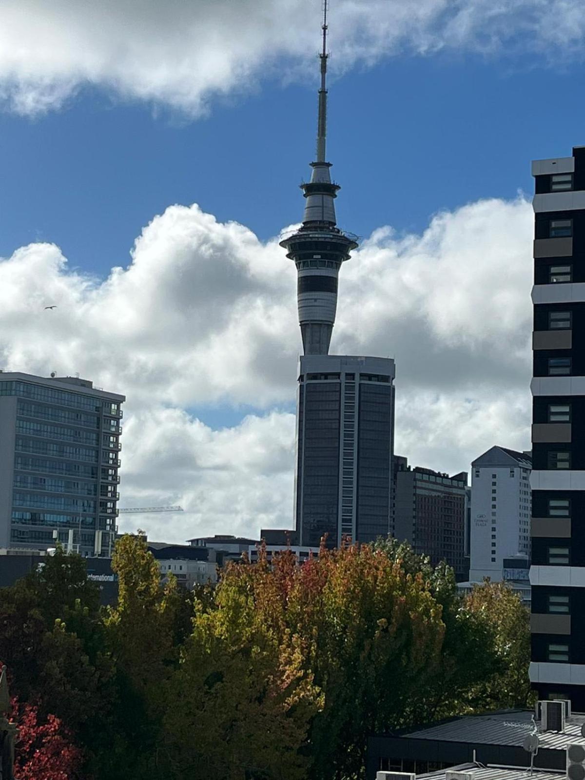 Large 3 Bedroom Steps From Queen St Apartment *