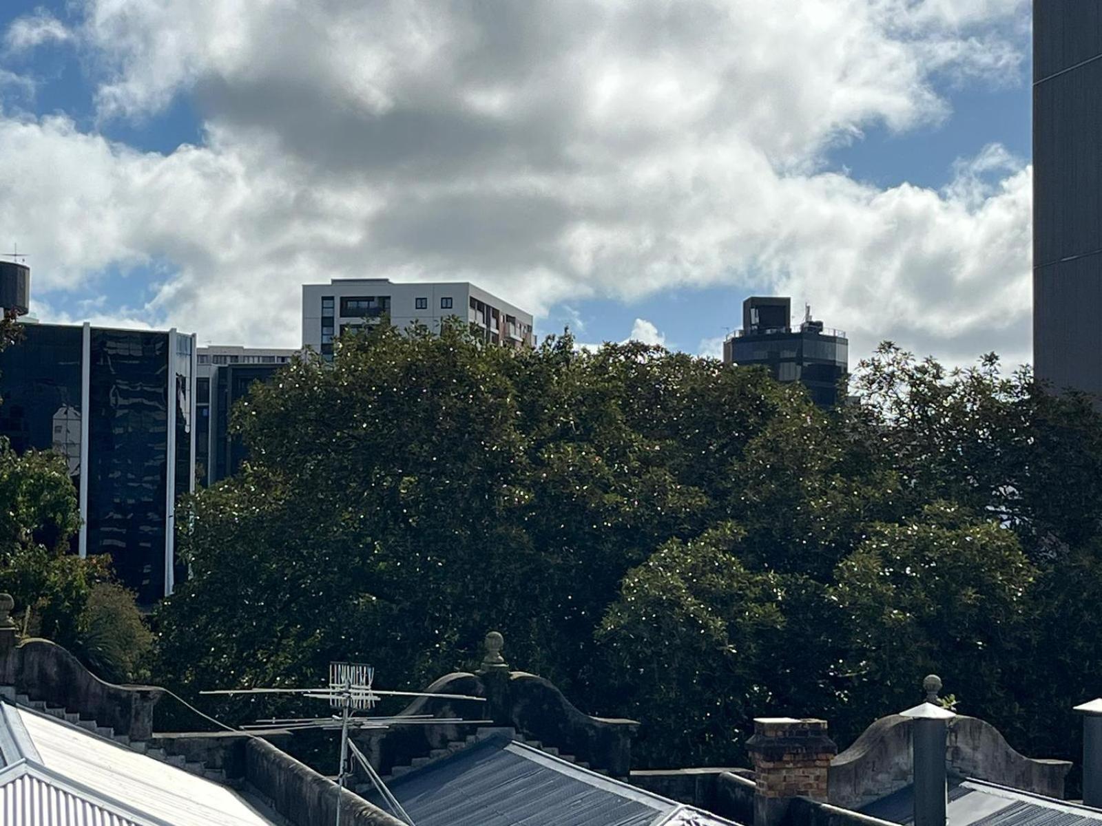 Apartment Large 3 Bedroom Steps From Queen St *