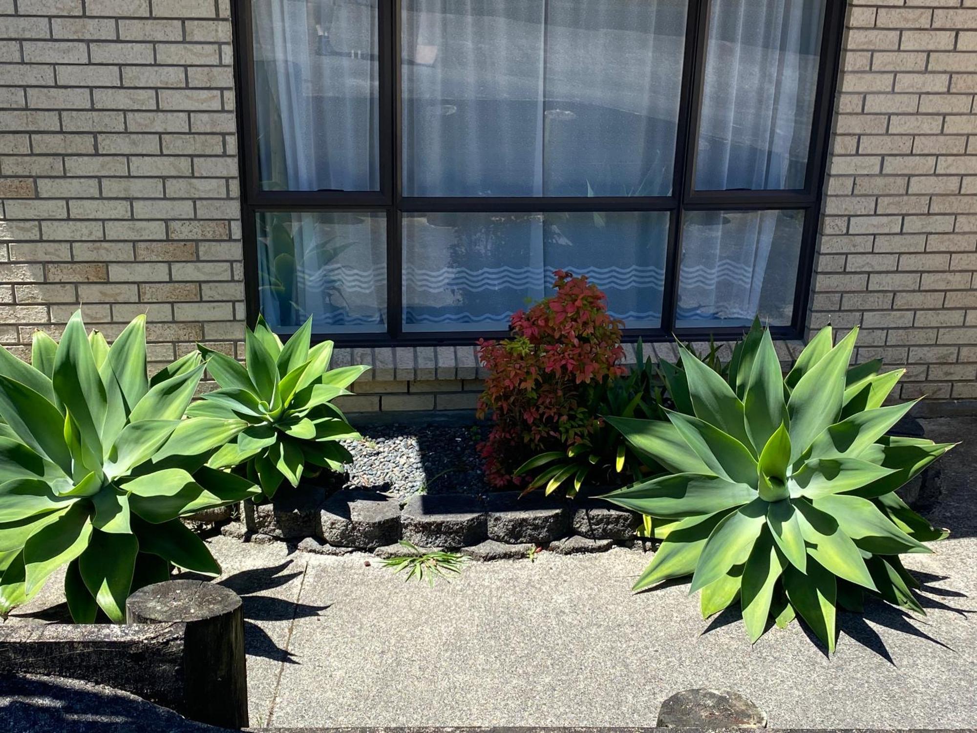 Auckland Gq Howick Holiday Home Homestay Auckland