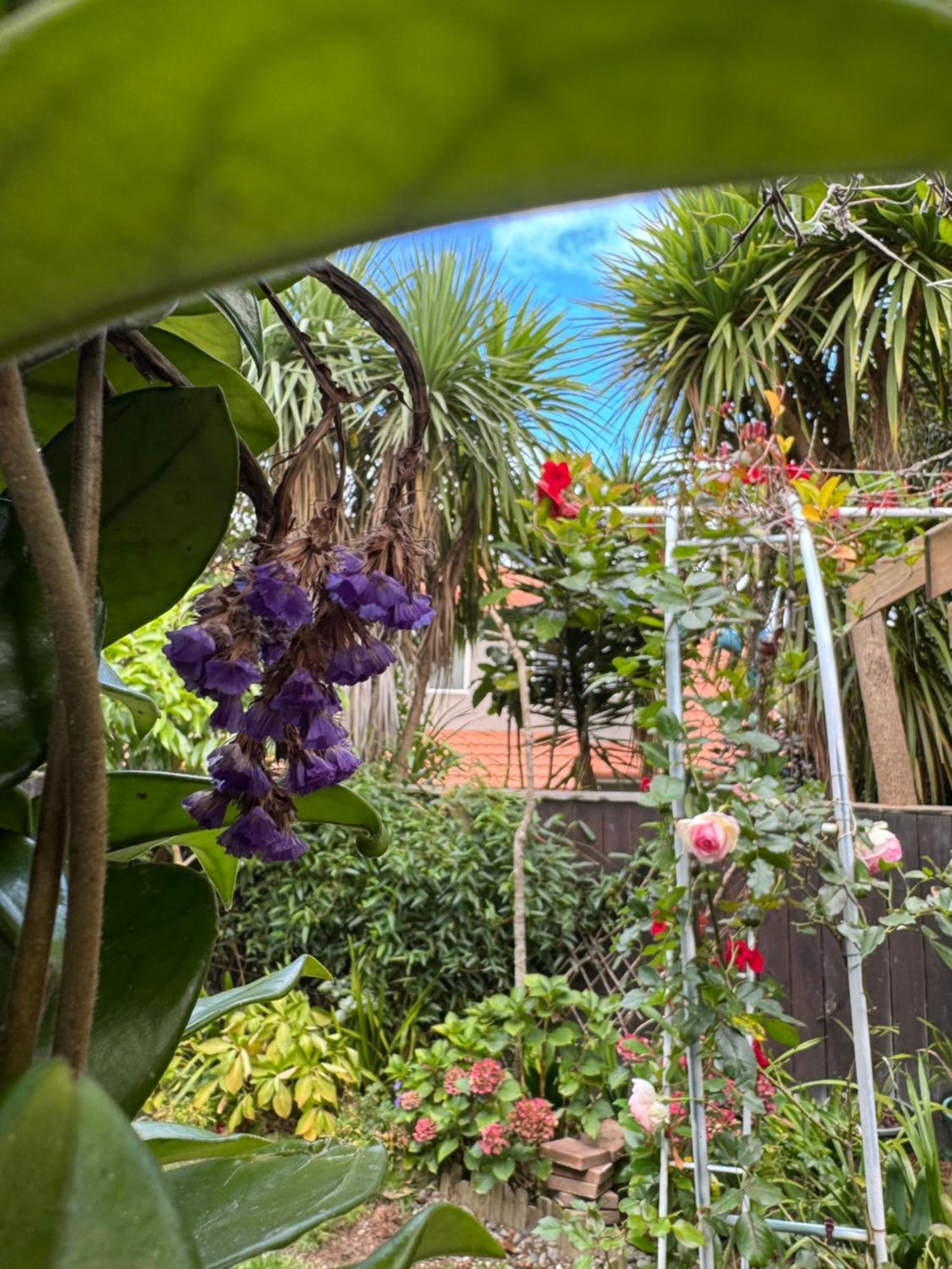 Rose House * Auckland