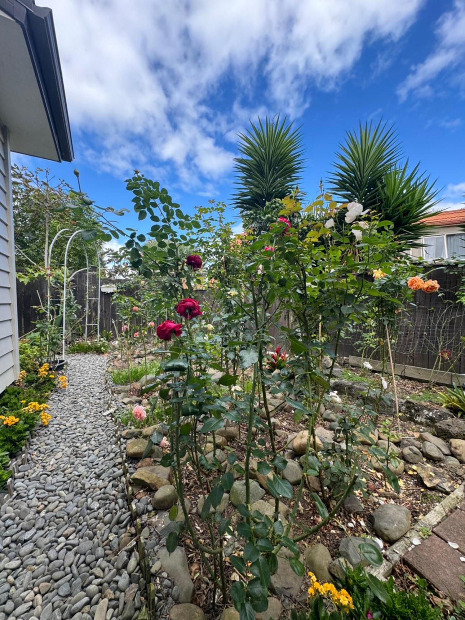 Guest house Rose House *