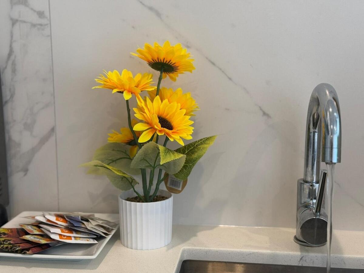 Apartment Sky Stars 2b1b Family With In Akl Cbd With Free Parking